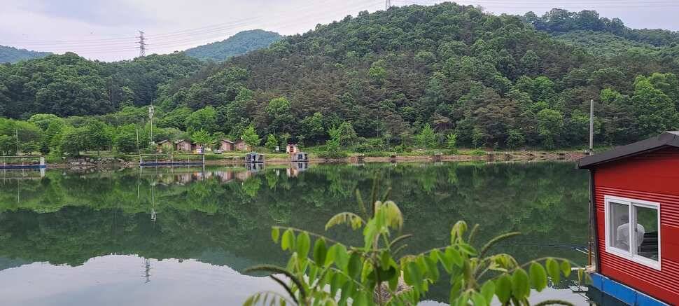 수곡지 양평 수곡낚시터 5월네째주 주말 조황 입질시간대 파악이 중요한듯합니다 (유료터정보 - 유료터점주조황)