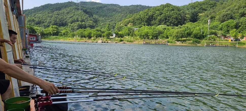 양평 힐링 수곡지 수곡낚시터 일요일 조황도 괜찬았습니다 (유료터정보 - 유료터점주조황)