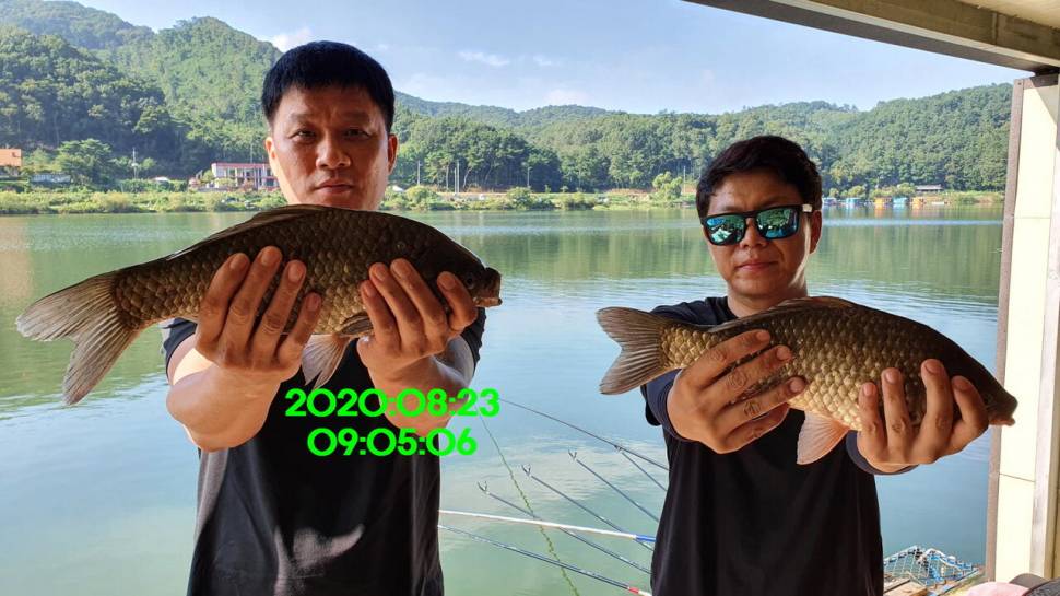 신원낚시터 8월27일 토종붕어 45짜리와 덩어리들 사진입니다 (유료터정보 - 유료터점주조황)