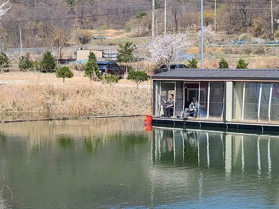 힐링 양평 수곡낚시터 4짜 대물붕어 포함 주중조황 및 붕어방류 안내 (유료터정보 - 유료터점주조황)