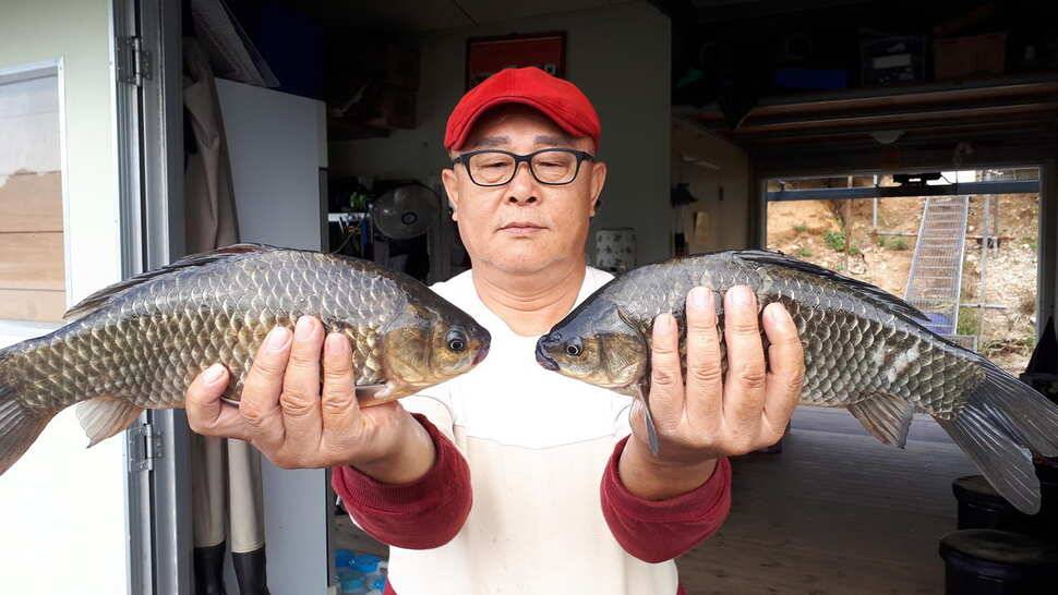 고삼지 최상류의 양촌좌대 (유료터정보 - 유료터점주조황)