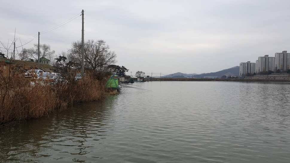 아산 명품 월랑낚시터 2월 첫번째 조황이야기입니다 (유료터정보 - 유료터점주조황)