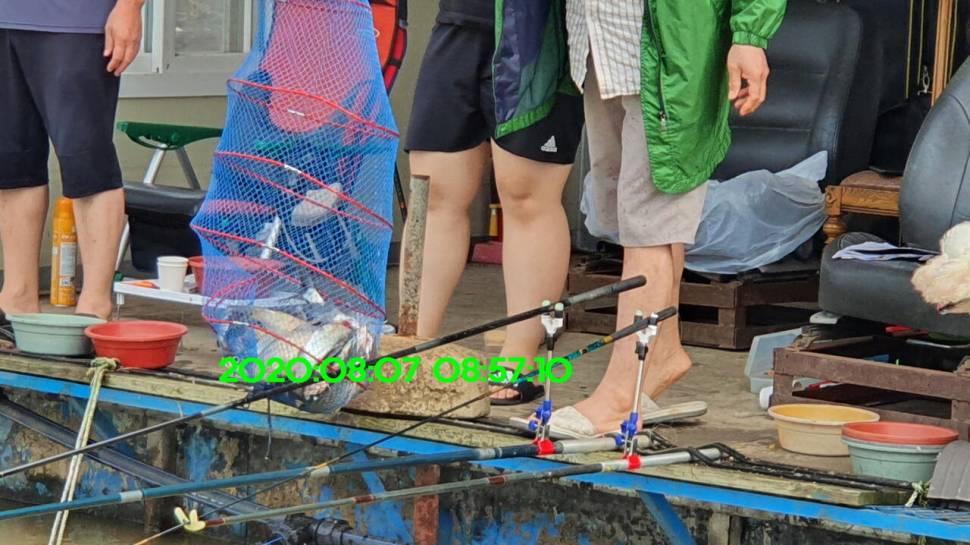 신원낚시터 8월16일 토종붕어 4짜와 덩어리 사진입니다 (유료터정보 - 유료터점주조황)