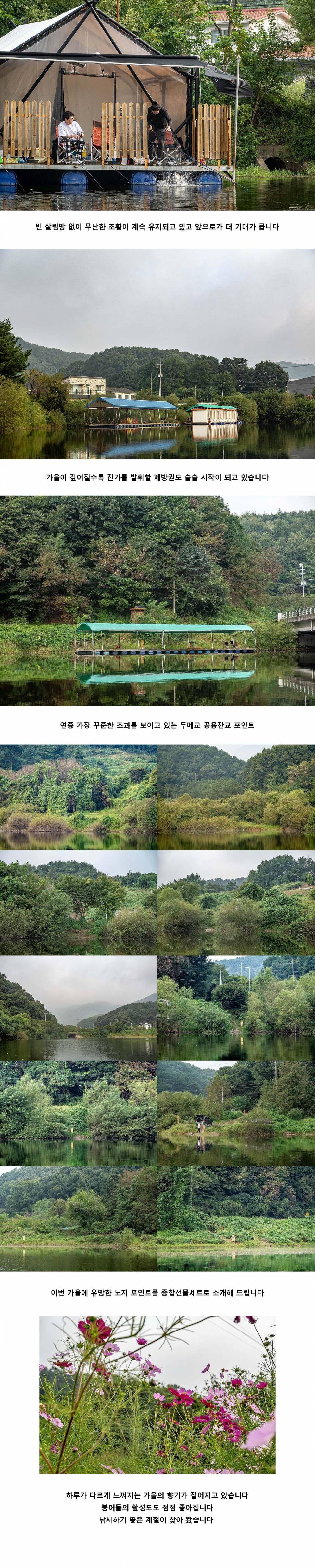 안성 두메낚시터 9월 19일 조황정보 (유료터정보 - 유료터점주조황)