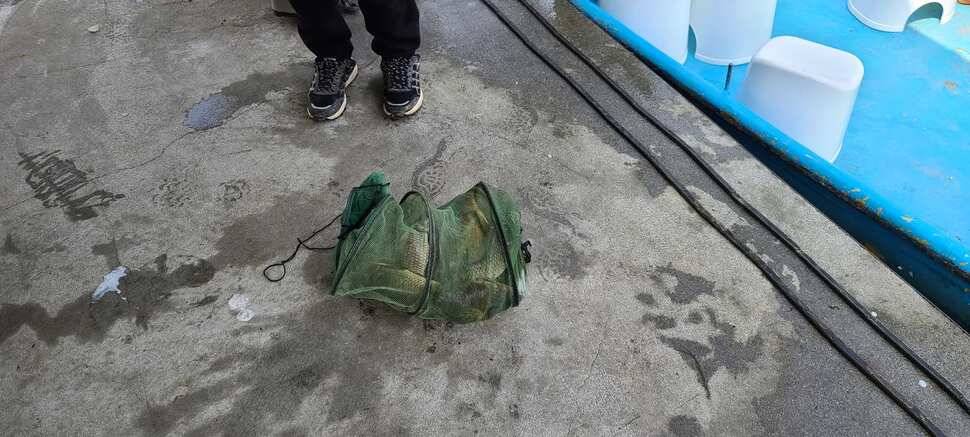 공주 고성낚시터 입니다 (유료터정보 - 유료터점주조황)