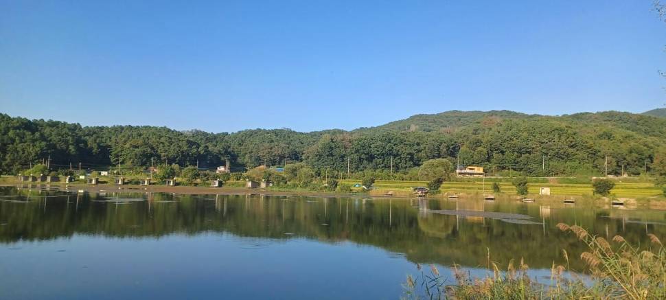 어우실지 기온이 뚝 떨어져야 될듯합니다 마릿수입니다 (유료터정보 - 유료터점주조황)