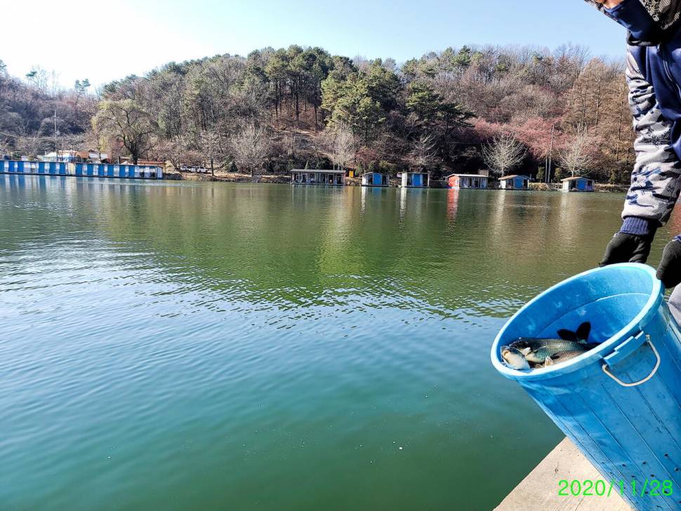 수곡낚시터 동절기 수상좌대 할인행사 실시 및 주말 조황 붕어 방류 (유료터정보 - 유료터점주조황)