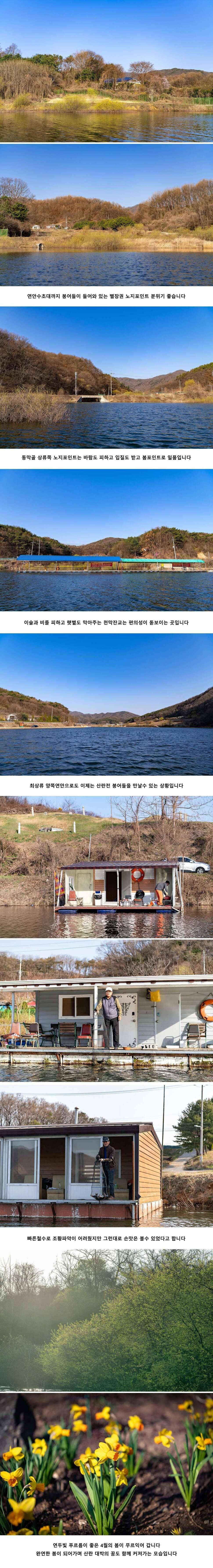 안성 두메낚시터 4월 8일 조황정보 (유료터정보 - 유료터점주조황)