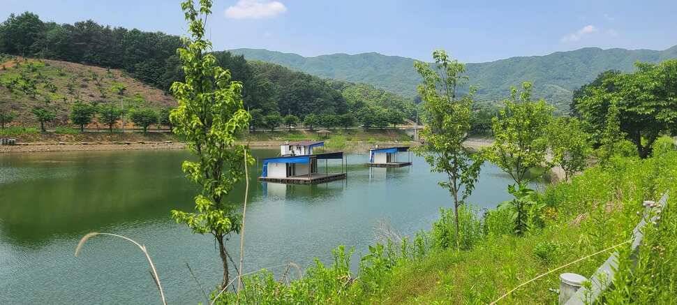 공주 고성낚시터 입니다 (유료터정보 - 유료터점주조황)