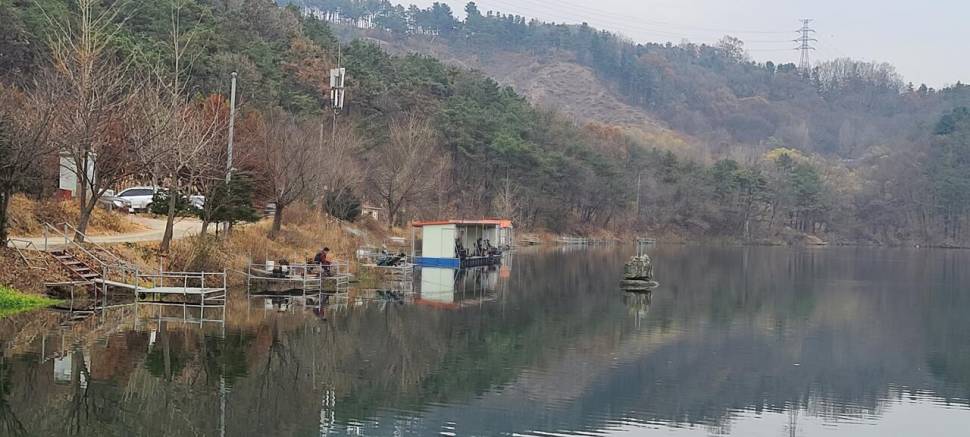 동절기 붕어낚시 힐링 수곡낚시터 주초 조황 및 금일 붕어방류 (유료터정보 - 유료터점주조황)