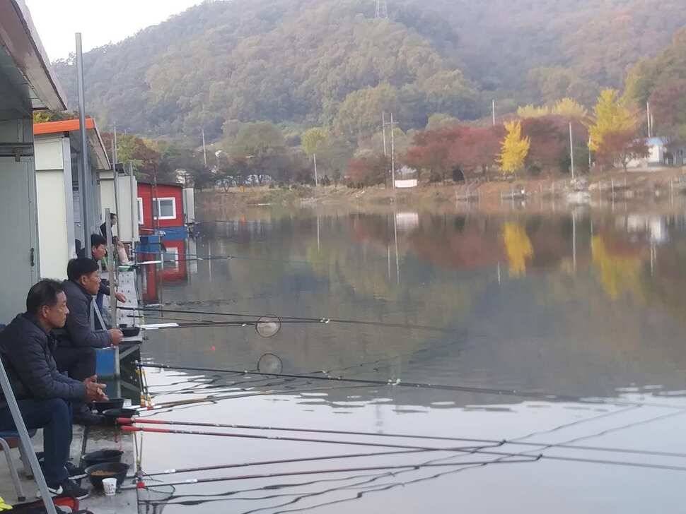 붕어낚시 양평 수곡낚시터 어제조황도 고르게 잘 나와주었습니다 (유료터정보 - 유료터점주조황)