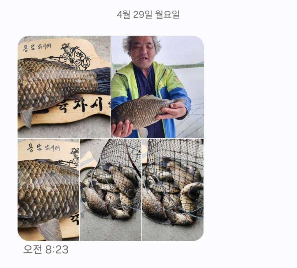 2024년 05월 첫째주 조황정보 용담낚시터사암지 4짜 4마리 (유료터정보 - 유료터점주조황)