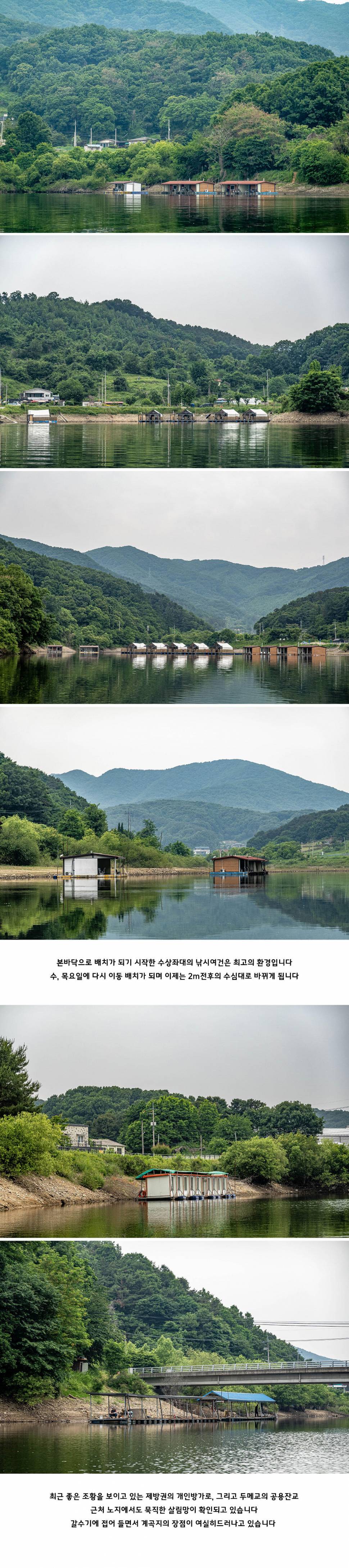 안성 두메낚시터 6월 2일 조황정보 (유료터정보 - 유료터점주조황)