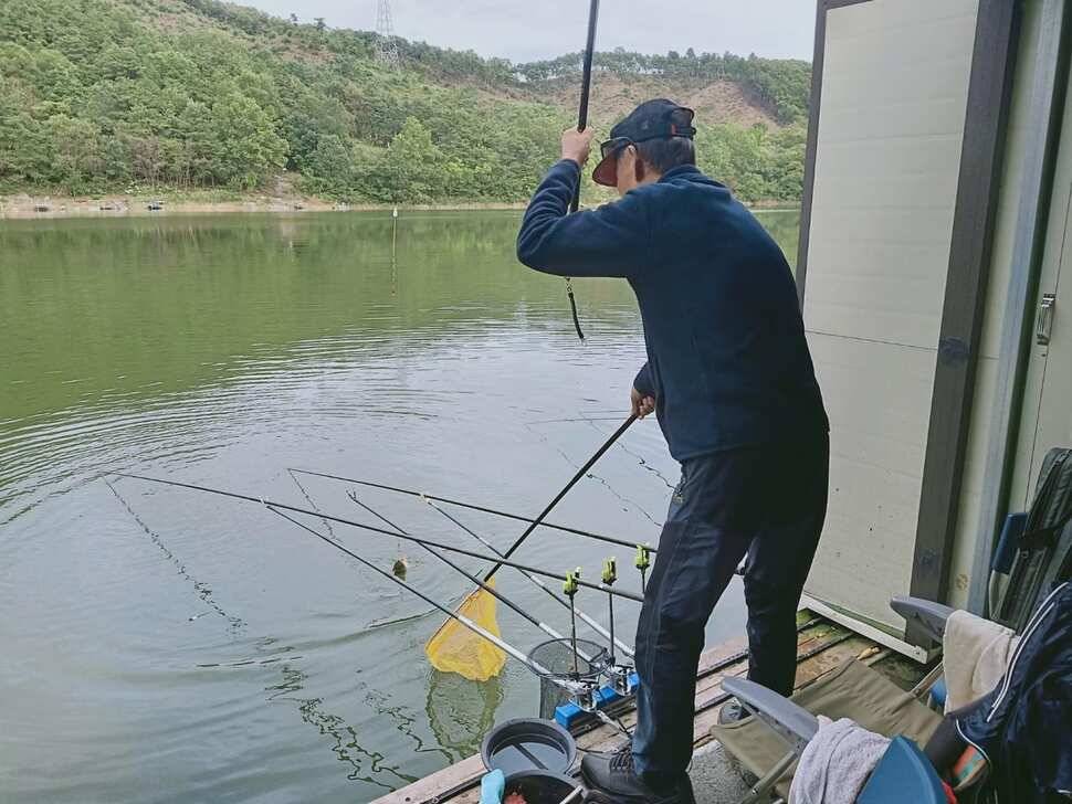 양평낚시터 힐링 수곡낚시터 주말 일요일 조황 및 붕어방류 (유료터정보 - 유료터점주조황)