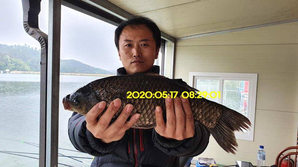 신원낚시터 6월5일 토종대물 덩어리 사진들 입니다 (유료터정보 - 유료터점주조황)