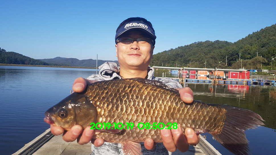 신원낚시터 토종48짜리가 또다시 나와주네요 (유료터정보 - 유료터점주조황)