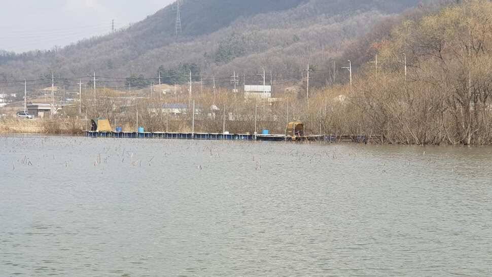 아산 명품 월랑낚시터 3월 첫번째 조황이야기입니다 (유료터정보 - 유료터점주조황)