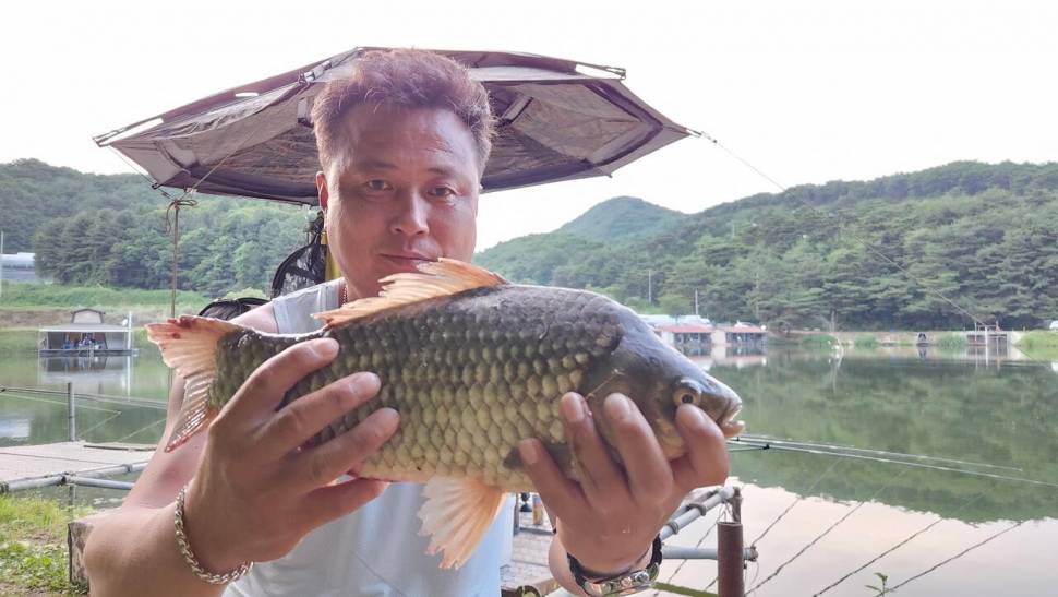4짜 200마리 돌파 끝없는 질주 (유료터정보 - 유료터점주조황)
