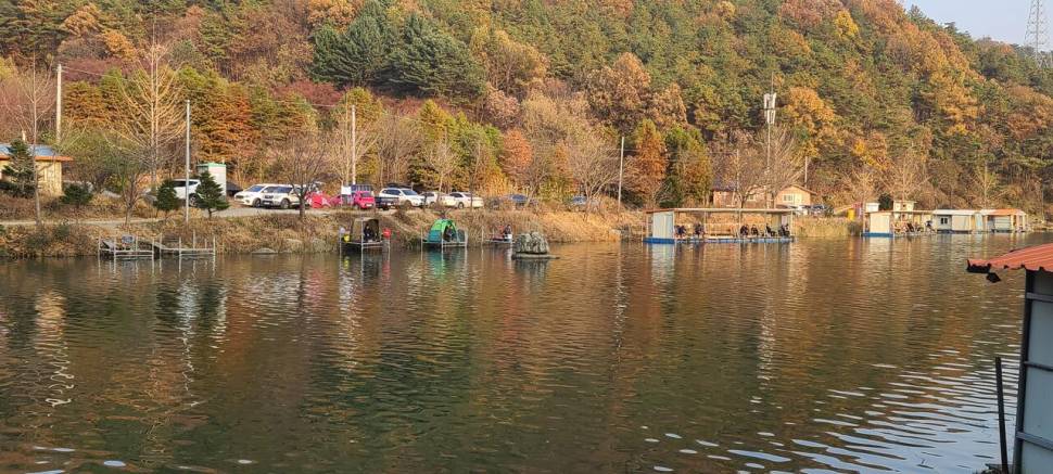 11월의 첫주말 양평 힐링 수곡낚시터 조황 붕어 방류 (유료터정보 - 유료터점주조황)