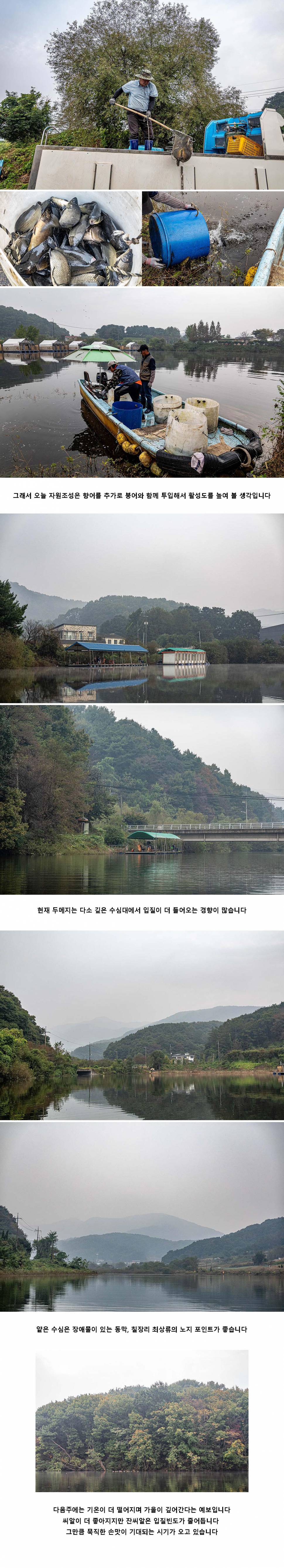안성 두메낚시터 10월 14일 조황정보 (유료터정보 - 유료터점주조황)