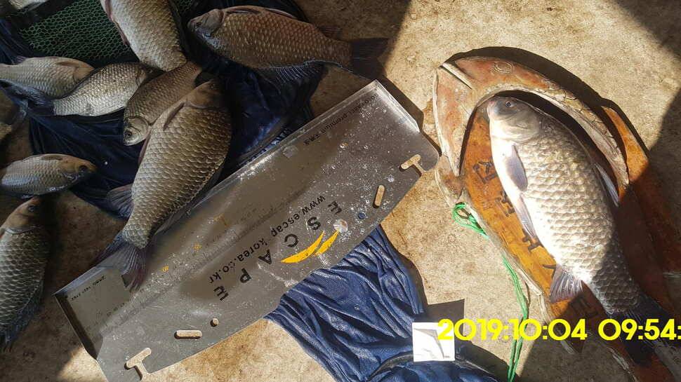 용인 신원낚시터 토종대물48짜리 구경하고 가시겠습니다 (유료터정보 - 유료터점주조황)