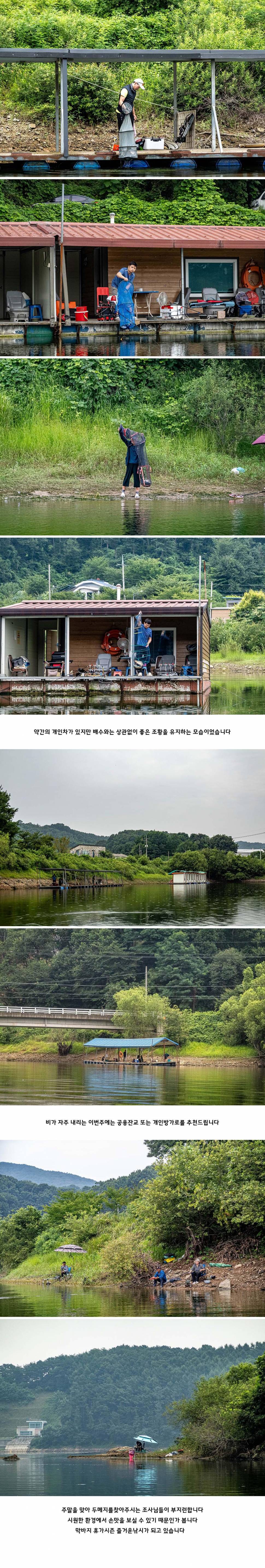안성 두메낚시터 8월 9일 조황정보 (유료터정보 - 유료터점주조황)