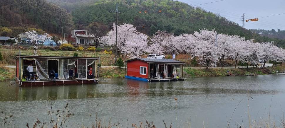 4월 양평 힐링 수곡낚시터 첫주말 대체로 고른 조황이었네요 (유료터정보 - 유료터점주조황)