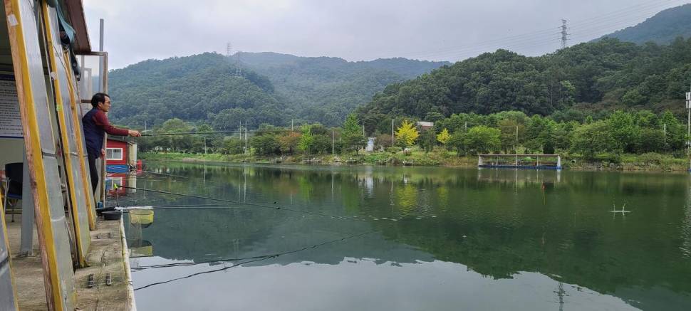 양평 힐링 수곡낚시터 셋째주 주중반 수목 조황입니다 (유료터정보 - 유료터점주조황)