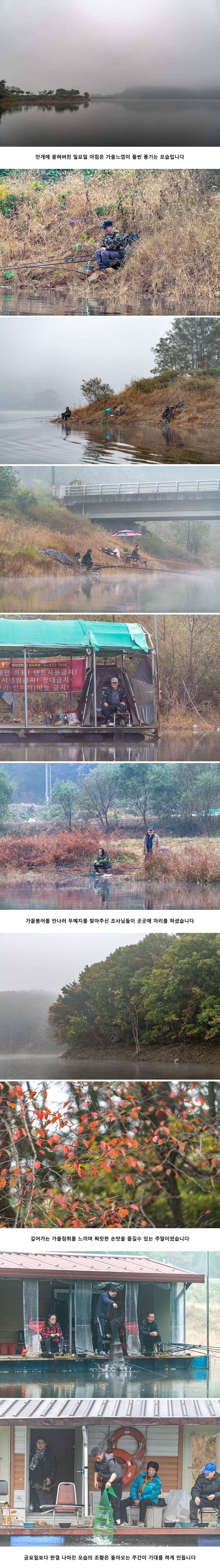 안성 두메낚시터 10월 20일 조황정보 (유료터정보 - 유료터점주조황)