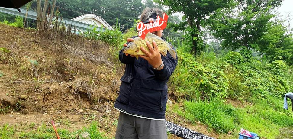 공주 고성낚시터 입니다 (유료터정보 - 유료터점주조황)