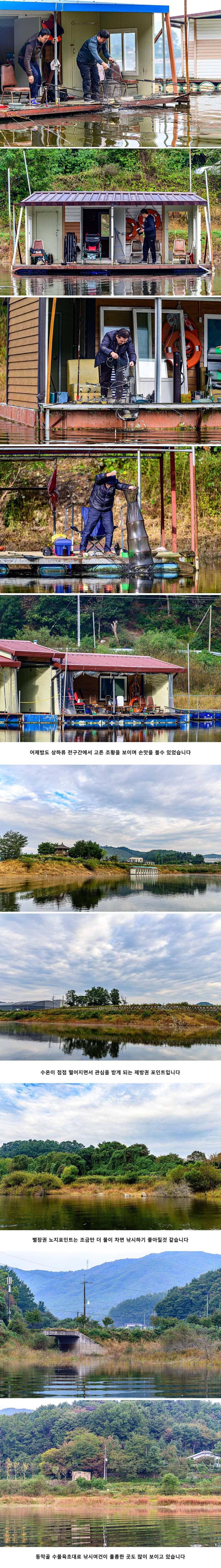 안성 두메낚시터 10월 10일 조황정보 (유료터정보 - 유료터점주조황)