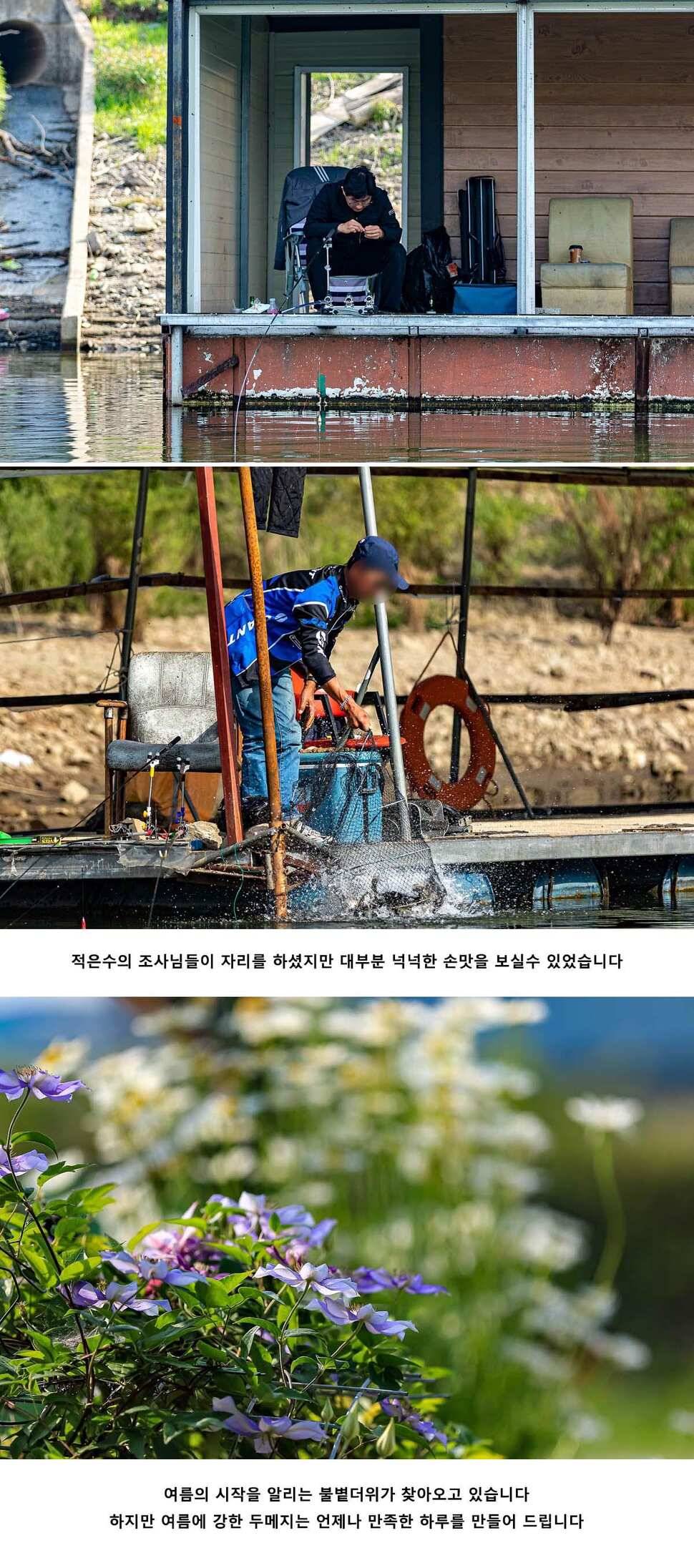 안성 두메낚시터 6월 4일 조황정보 (유료터정보 - 유료터점주조황)