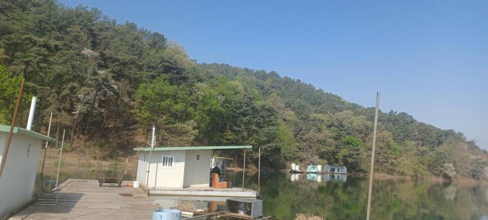 어우실지 방류는게속 (유료터정보 - 유료터점주조황)