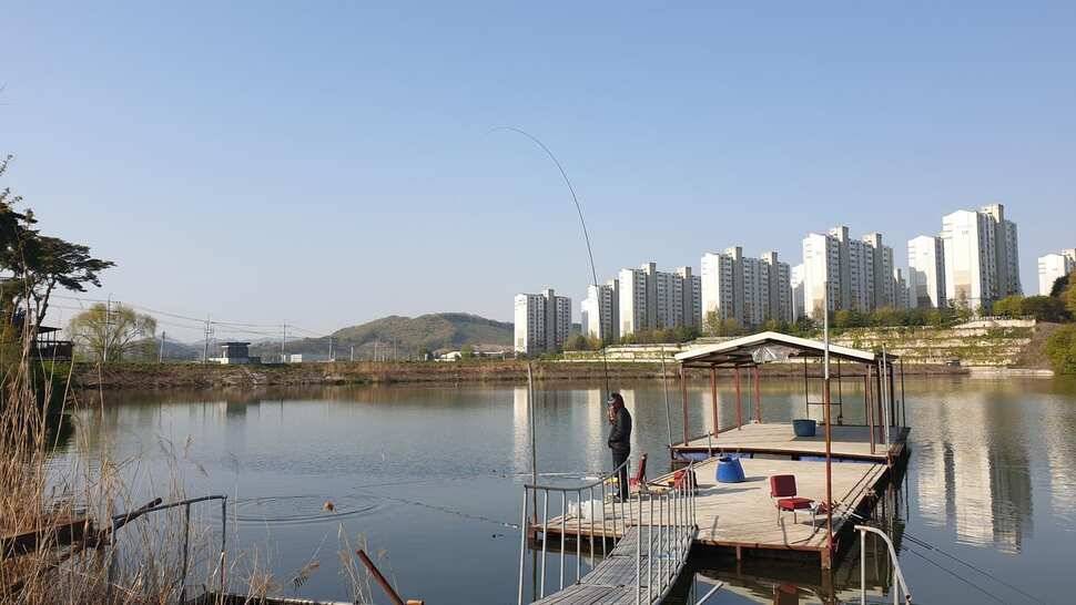 아산 명품 월랑낚시터 5월 첫번째 조황이야기입니다 (유료터정보 - 유료터점주조황)