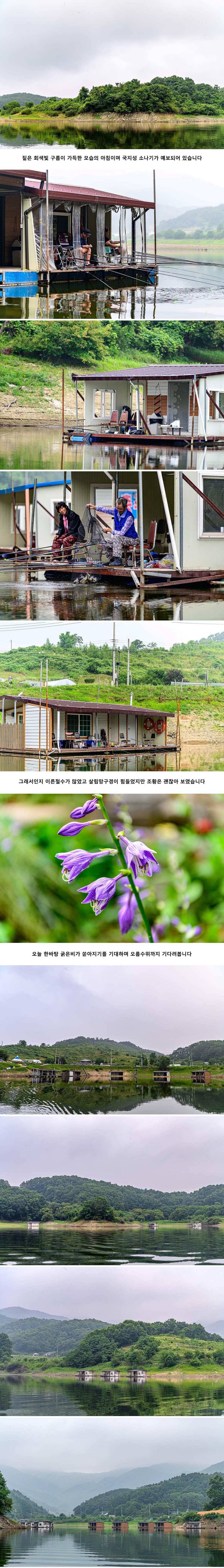 안성 두메낚시터 7월 15일 조황정보 (유료터정보 - 유료터점주조황)