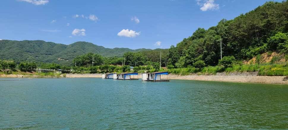 공주 고성낚시터 입니다 (유료터정보 - 유료터점주조황)