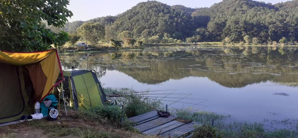 기온차가 심해요 (유료터정보 - 유료터점주조황)
