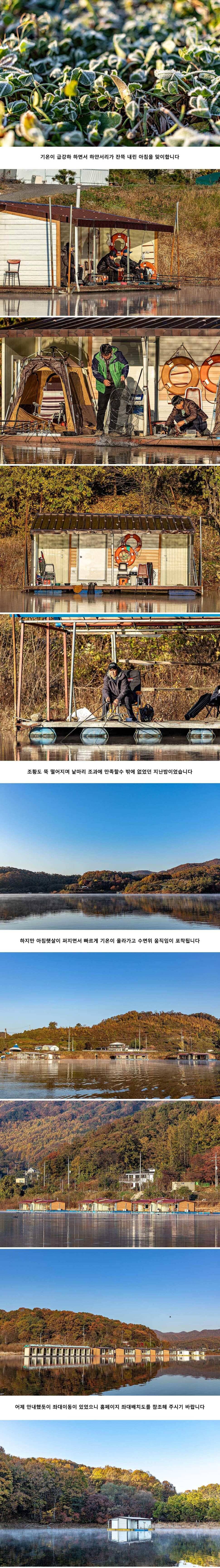 안성 두메낚시터 11월 8일 조황정보 (유료터정보 - 유료터점주조황)