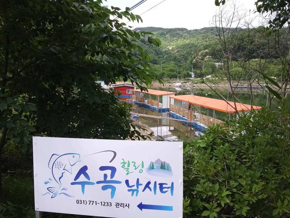 수곡낚시터 금일 붕어방류 및 조황 소식 안내 7월6일 (유료터정보 - 유료터점주조황)