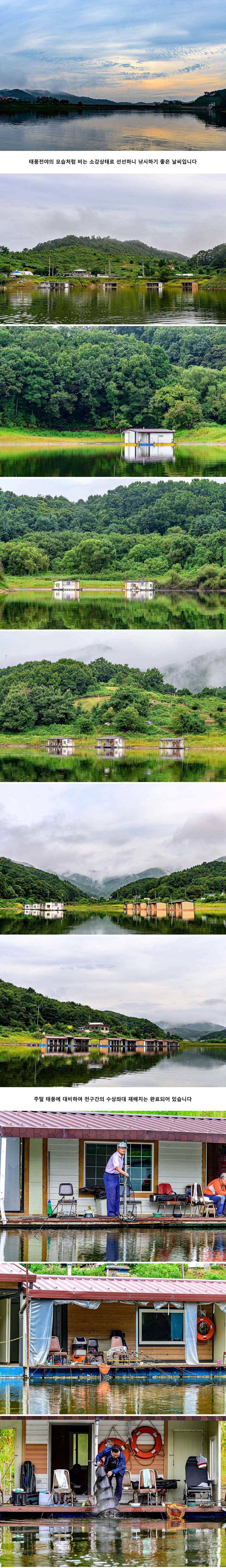 안성 두메낚시터 9월 6일 조황정보 (유료터정보 - 유료터점주조황)