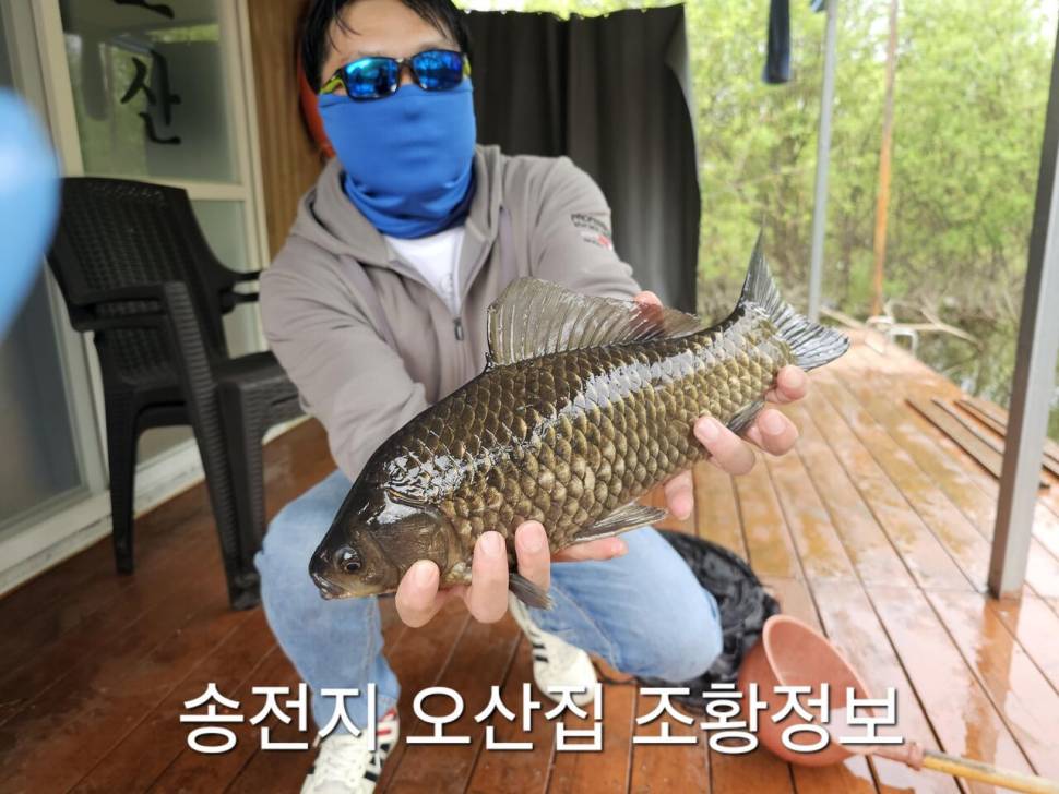 오산집 주말 조황 (유료터정보 - 유료터점주조황)