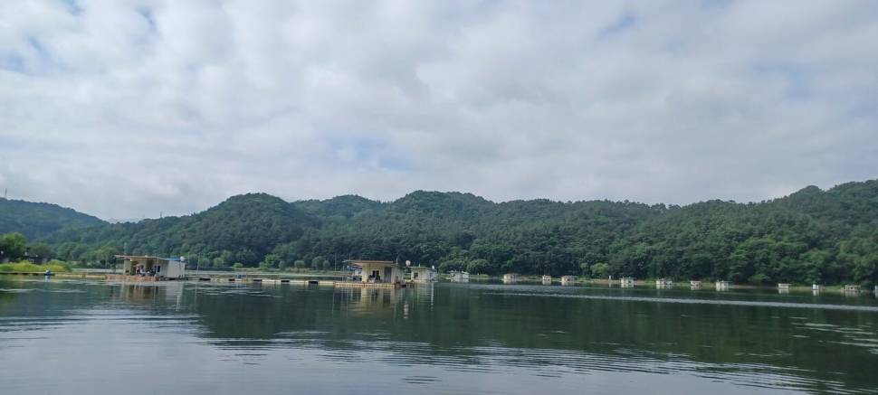 어우실지 입질이좋아요 현재모습입니다 노지15 2미터이상입니다 (유료터정보 - 유료터점주조황)