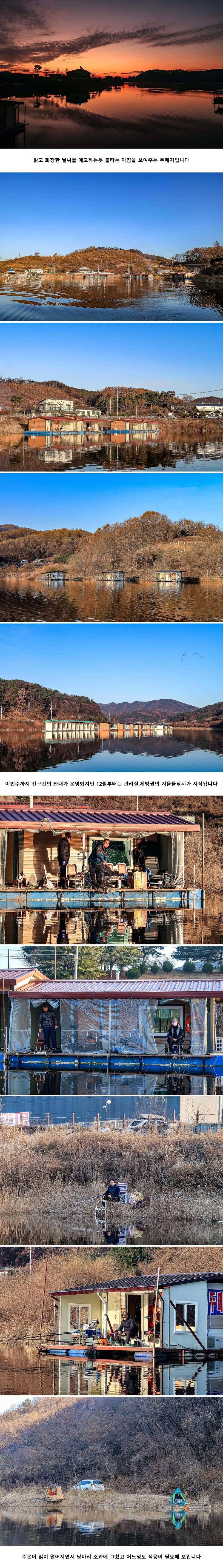 안성 두메낚시터 11월 30일 조황정보 (유료터정보 - 유료터점주조황)
