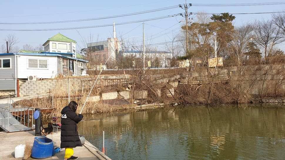 아산 명품 월랑낚시터 2월 첫번째 조황이야기입니다 (유료터정보 - 유료터점주조황)