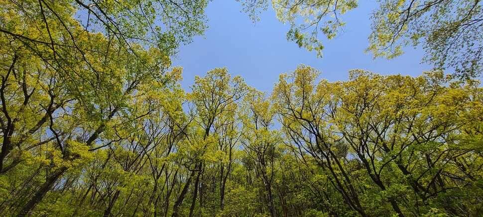 공주 고성낚시터 입니다 (유료터정보 - 유료터점주조황)