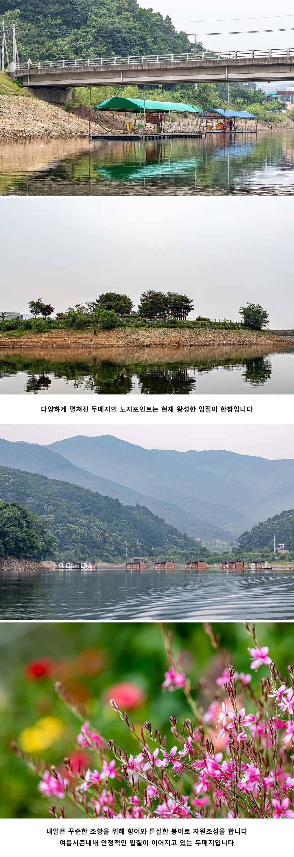 안성 두메낚시터 6월 14일 조황정보 (유료터정보 - 유료터점주조황)