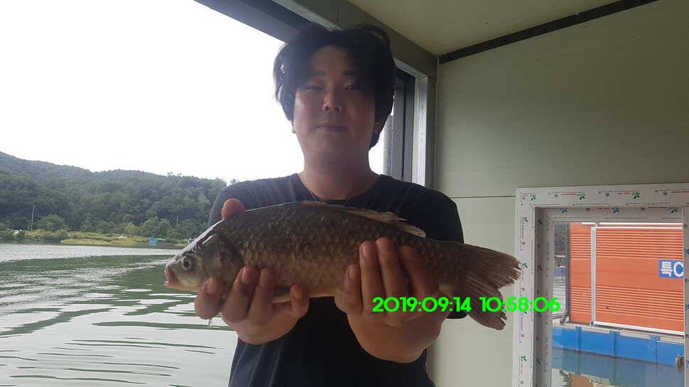 신원낚시터 토종대물 덩어리와 4짜가 마릿수로 (유료터정보 - 유료터점주조황)