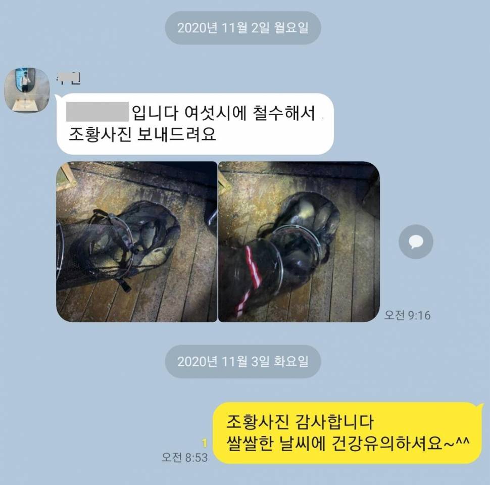 11월 첫주월요일 가을양평 수곡낚시터 조황 및 붕어 금일 방류 (유료터정보 - 유료터점주조황)