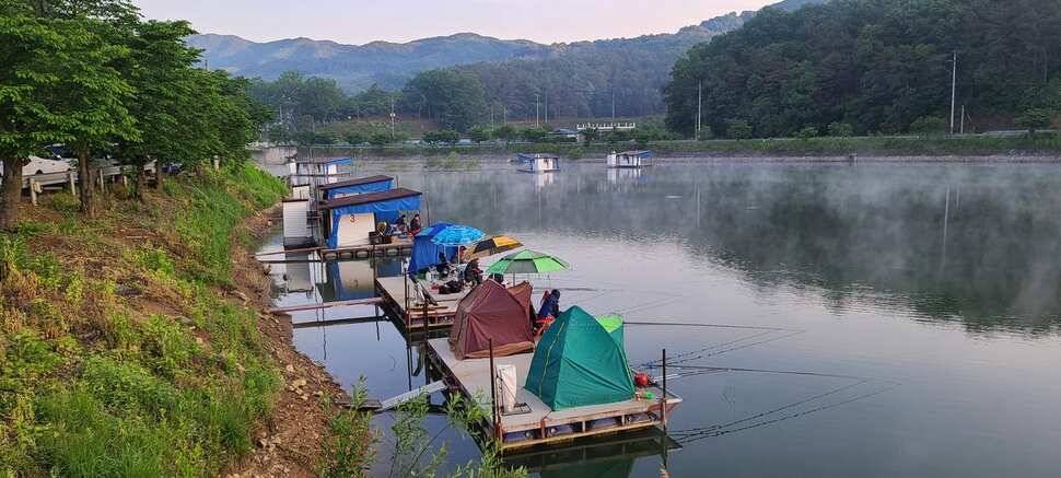 공주 고성낚시터 입니다 (유료터정보 - 유료터점주조황)