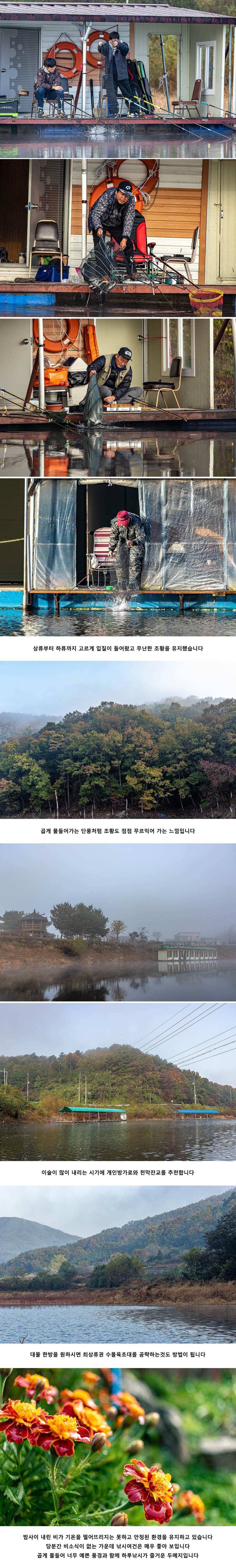 안성 두메낚시터 10월 29일 조황정보 (유료터정보 - 유료터점주조황)